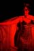 Metamorphoses 008