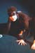 Metamorphoses 034